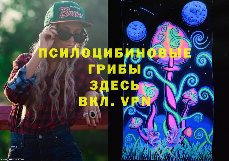 купить закладку  Ржев  Галлюциногенные грибы Magic Shrooms 